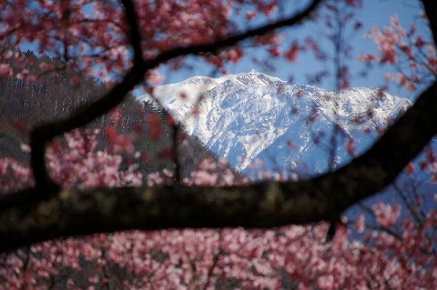 k-dsc_0060.jpg