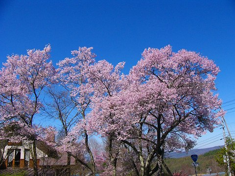 k-p1060410.jpg