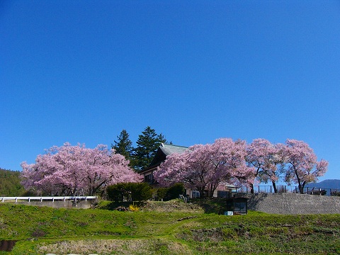 k-p1060453.jpg