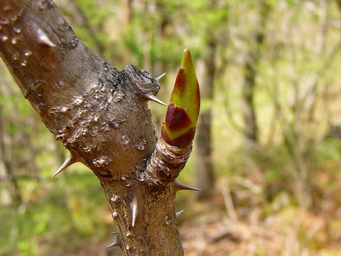 e-p1060480.jpg