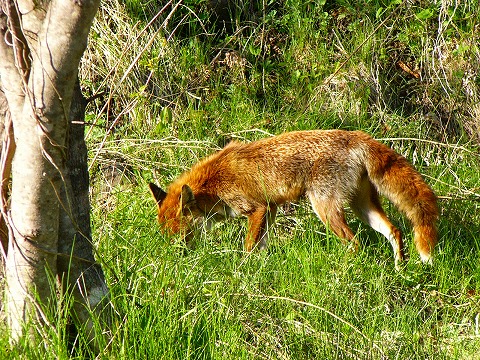 e-p1060603.jpg