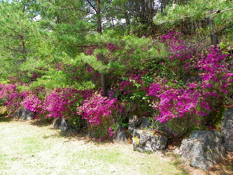 e-imgp0010.jpg
