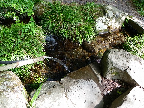 e-imgp0017.jpg