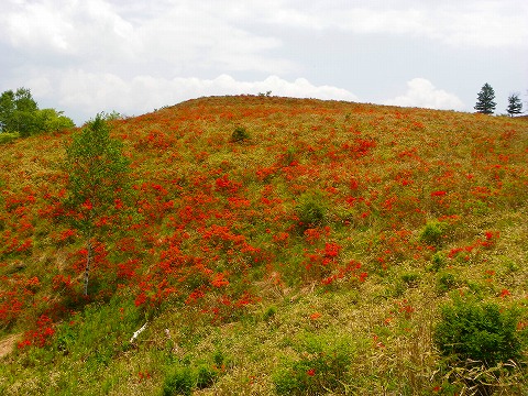 e-imgp0070.jpg