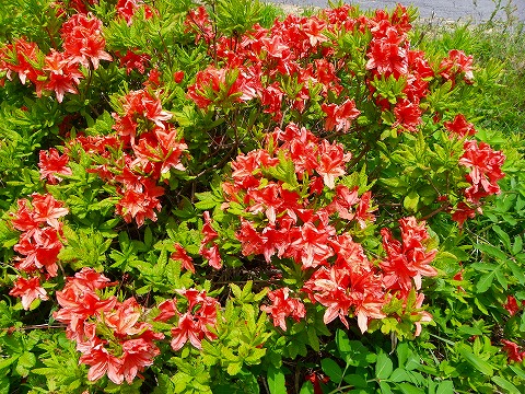 e-imgp0073.jpg