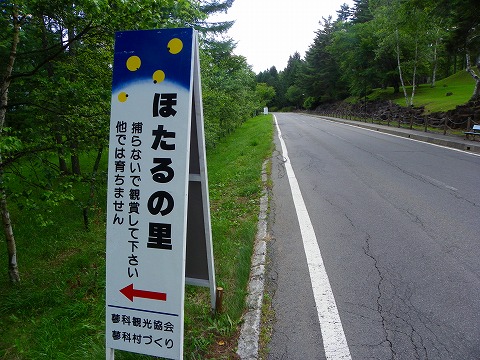 e-imgp0179.jpg