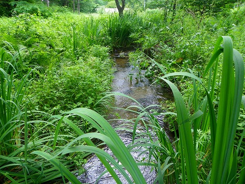 e-imgp0183.jpg