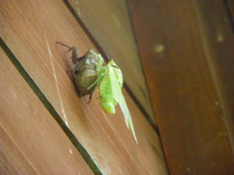 e-imgp0277.jpg