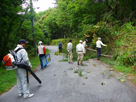 s-imgp0480.jpg