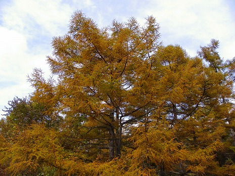 s-imgp0680.jpg