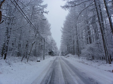 s-imgp1254.jpg