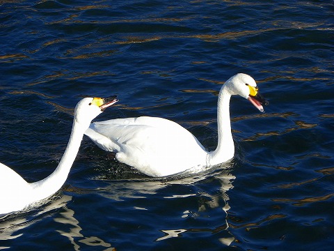 s-imgp1281.jpg