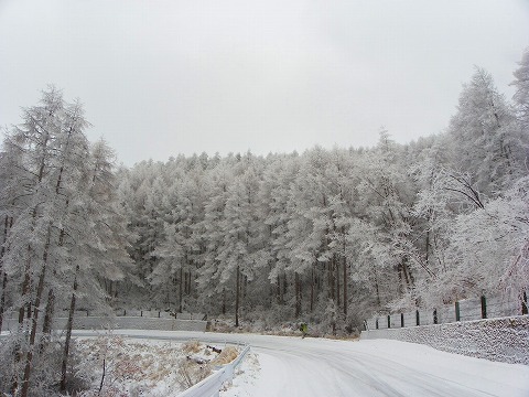 s-imgp1550.jpg