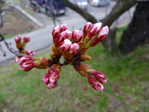f-imgp2061.jpg