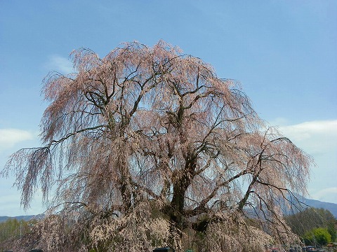 f-imgp2175.jpg