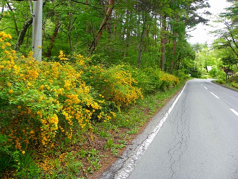 s-imgp2279.jpg