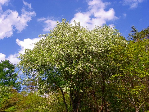 s-imgp2286.jpg