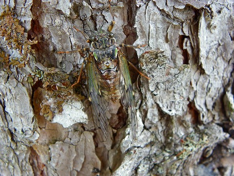 s-imgp2303.jpg