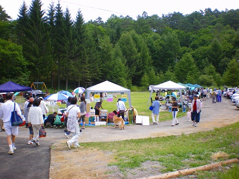 p-imgp2378.jpg