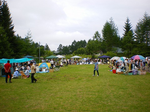 p-imgp2379.jpg