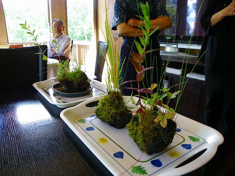 p-imgp2649.jpg