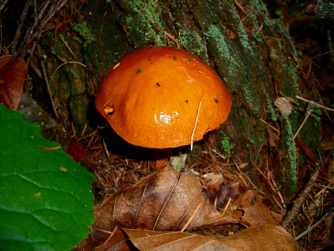 p-uni_2653.jpg