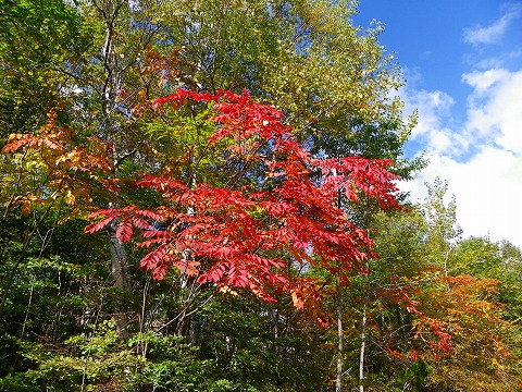p-imgp2788.jpg