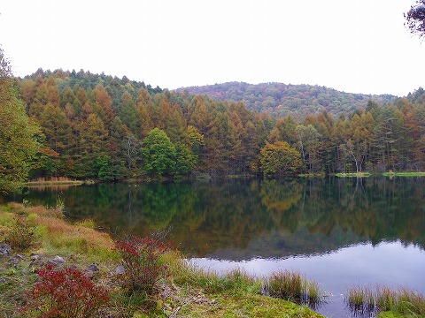 x-imgp2815.jpg