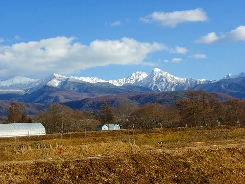 x-imgp1299.jpg