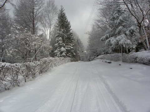 x-imgp2962.jpg