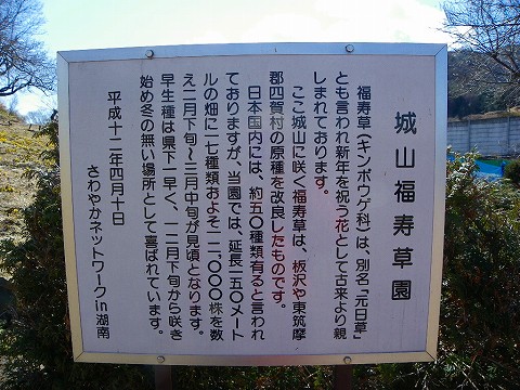 imgp3143.jpg