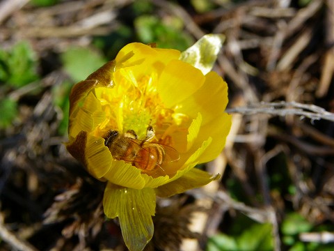 imgp3153.jpg