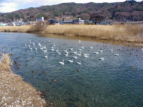 imgp3159.jpg