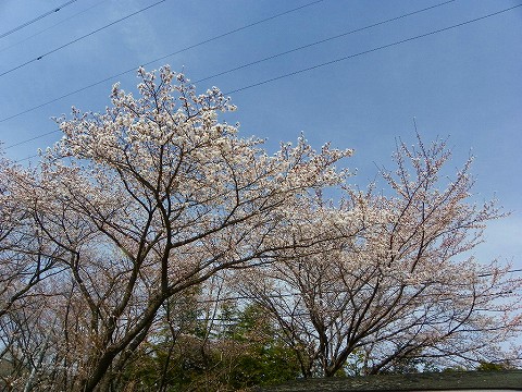 imgp3360.jpg