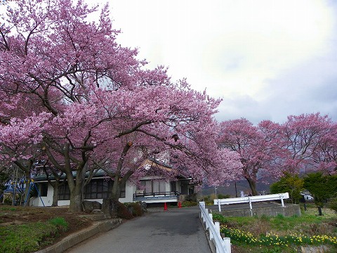 imgp3390.jpg
