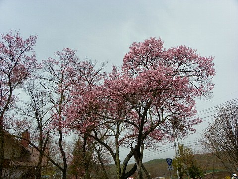 imgp3399.jpg