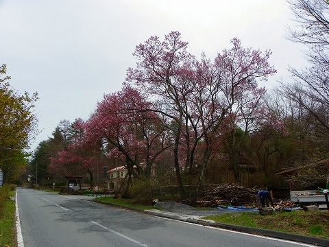 imgp3400.jpg