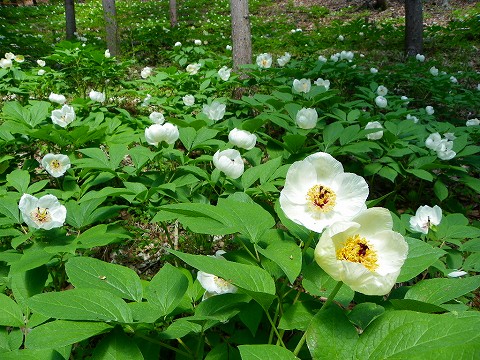 imgp3504.jpg