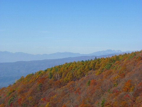 imgp3923.jpg