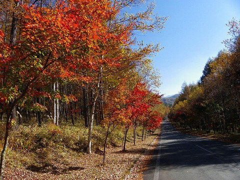 imgp3928.jpg