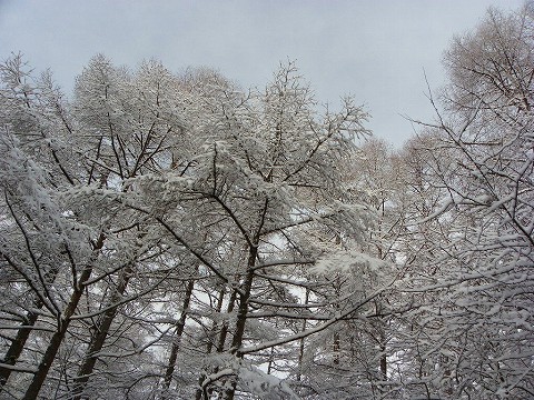 imgp3943.jpg