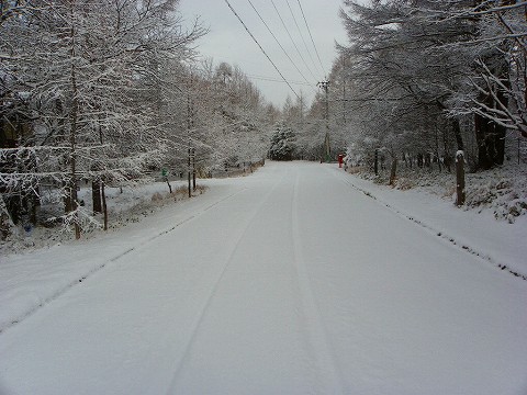 imgp3944.jpg