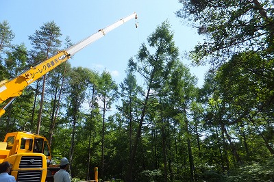 2012-710-3.jpg