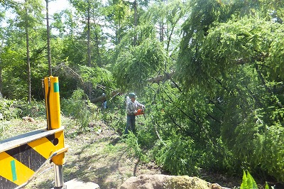 2012-710-5.jpg