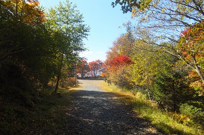 yokoya1019-3.jpg