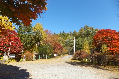 yokoya1019-5.jpg