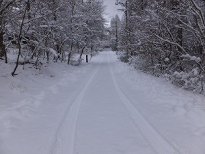 14-12-05 (2)