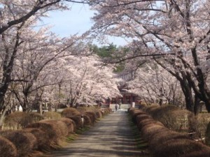 聖光寺