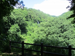 ７月２１日ブログ２