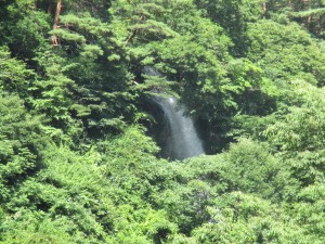 ７月２１日ブログ３